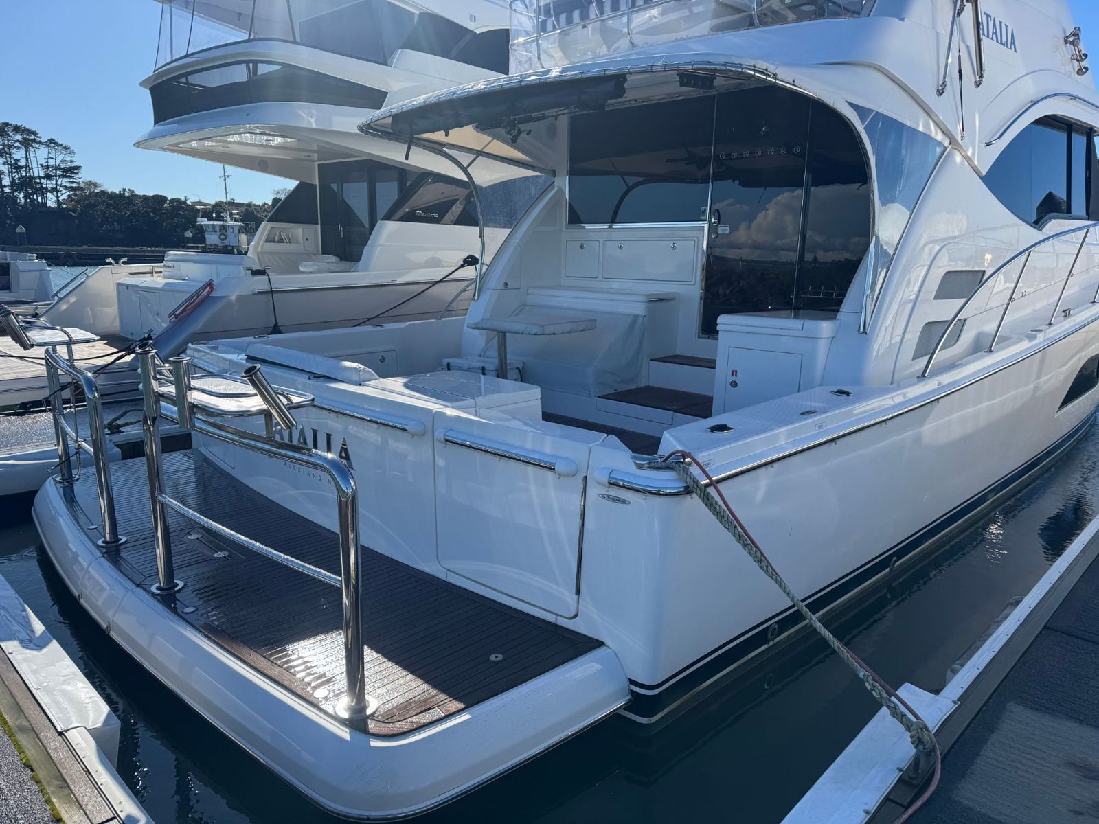 Polished stainless rails and rod holders on a launch